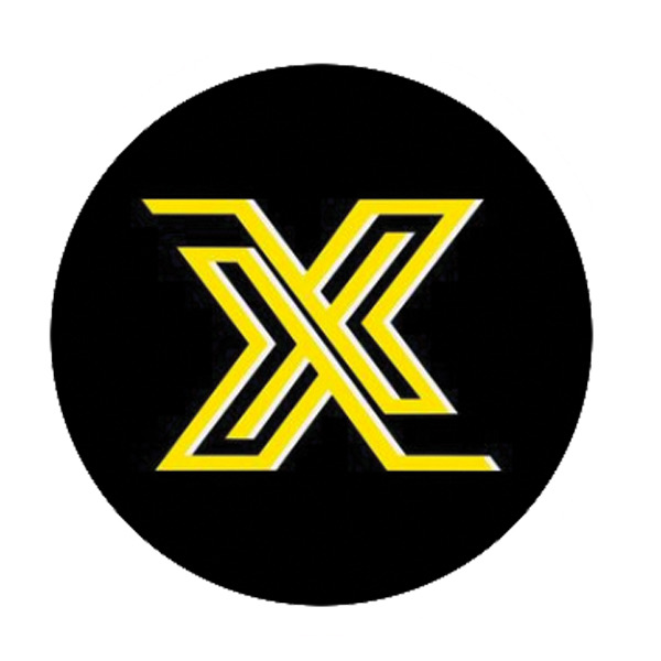 Gaudin X Logo